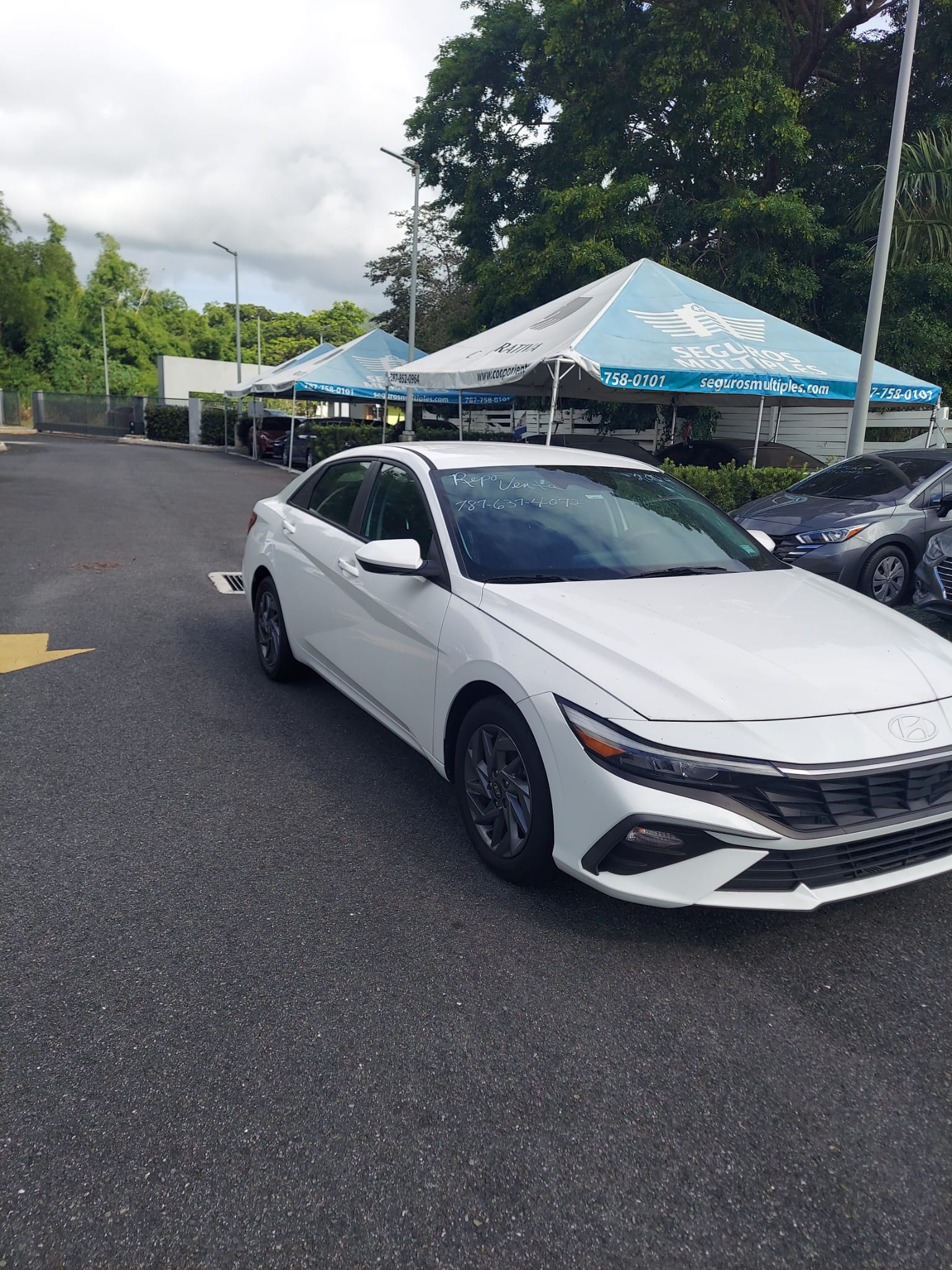 Hyundai	Elantra